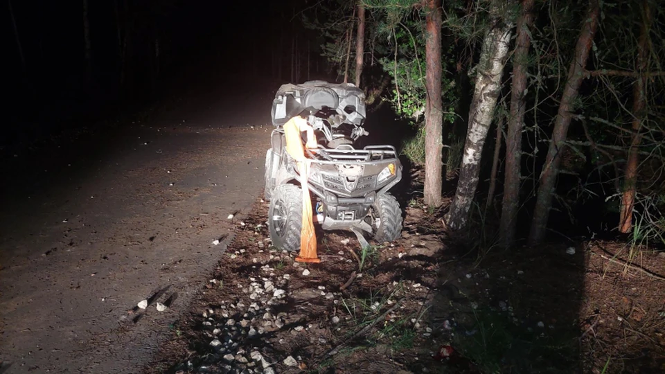 Общий вид места ДТП в Клепиковском районе, где погиб гражданин Узбекистана.
