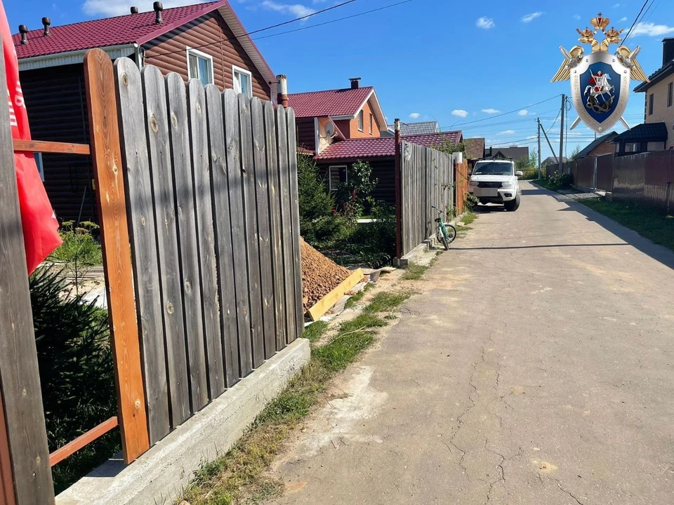 Уголовное дело завели из-за нападения собаки на мальчика в Нижегородской области. Фото: пресс-служба СУ СКР по Нижегородской области.