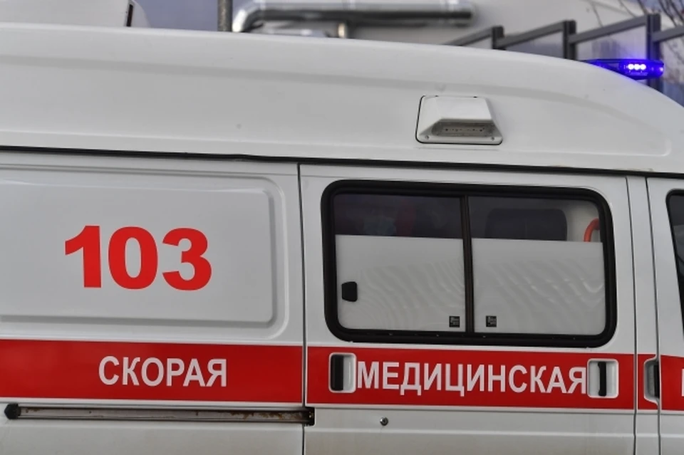 Особенно осиный укус опасен для тех, у кого есть аллергия на их яд.