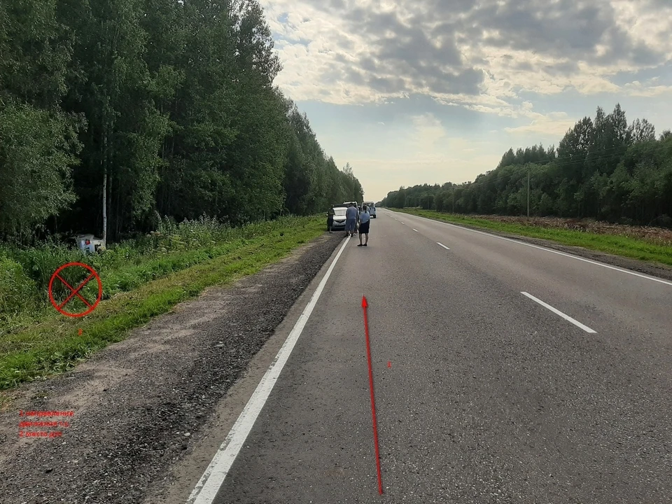 Фото: пресс-служба УГИБДД УМВД России по Костромской области