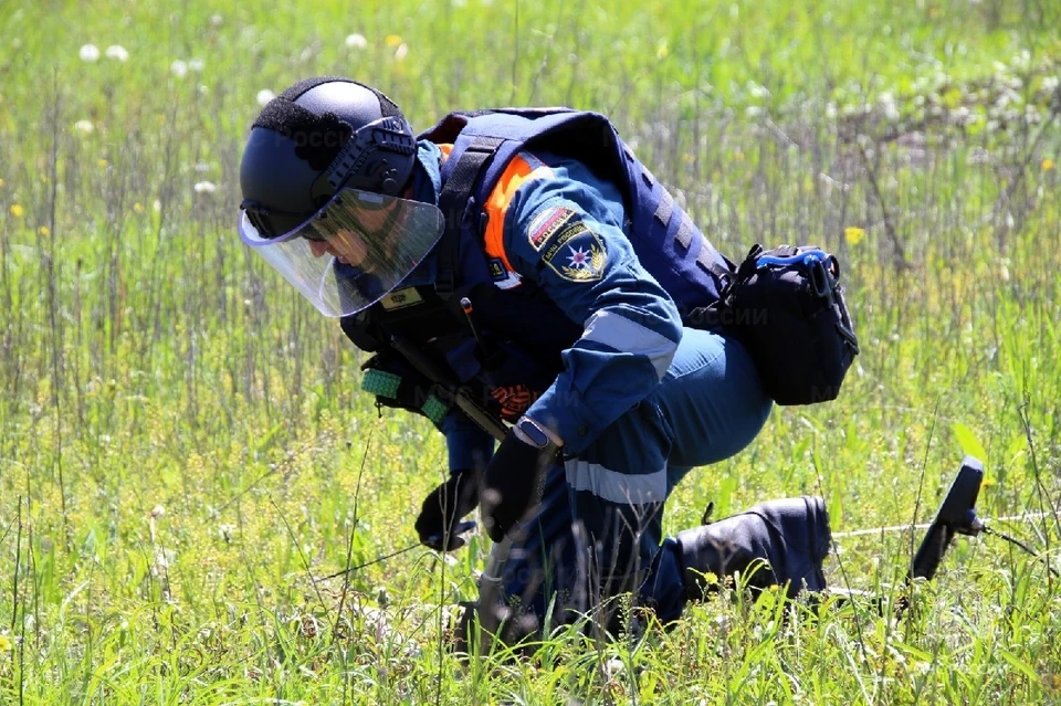 В ДНР расчистили поля возле Мариуполя, Докучаевска, а также в Тельмановском, Шахтерском и других районах Республики. Фото: МЧС РФ