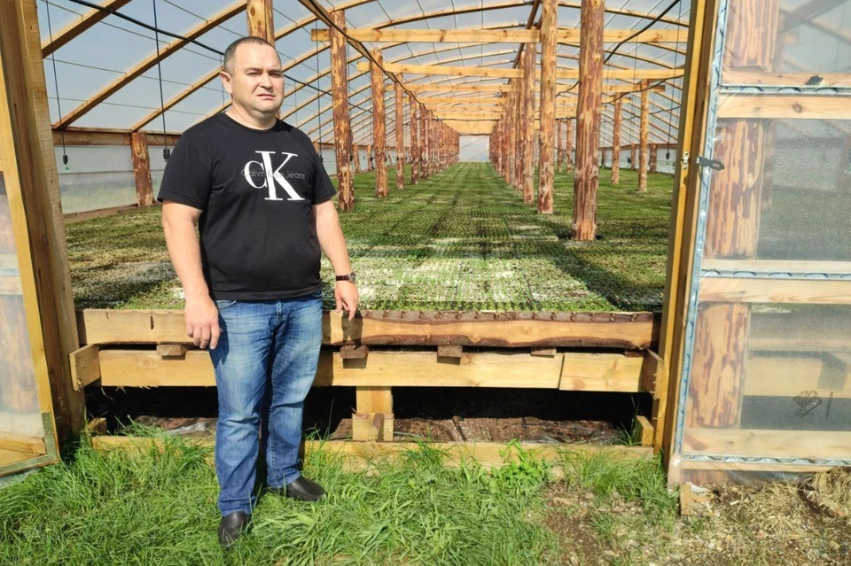 Даян Иштимиров планирует разместить на территории до 50 теплиц.