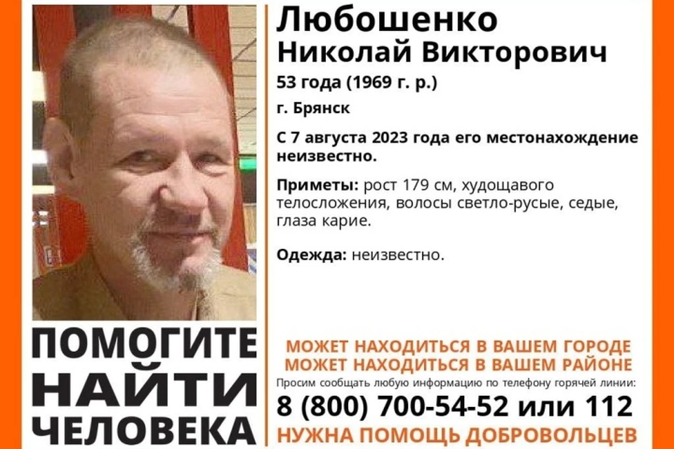 Фото: поисковый отряд "Лиза Алерт".