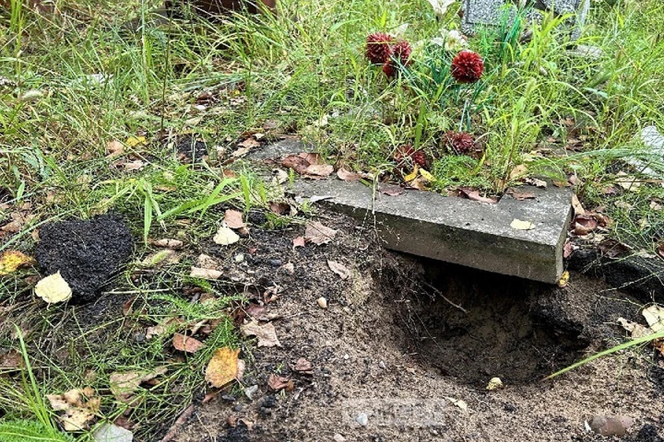 В Комсомольске из-за медведей закрыли кладбище