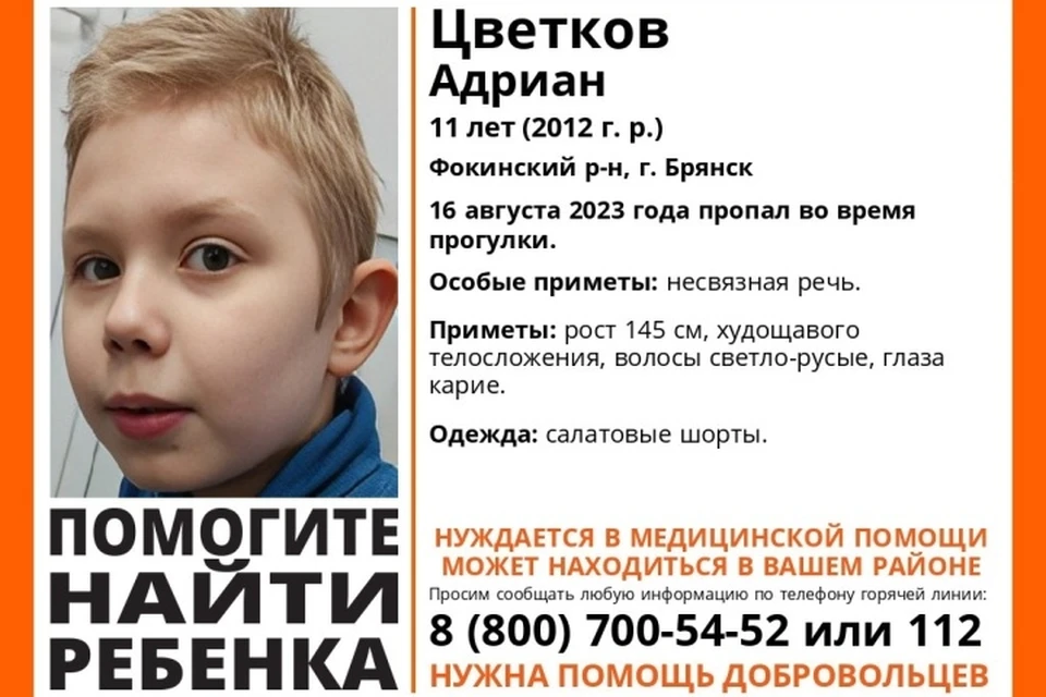 Фото: поисковый отряд "Лиза Алерт".