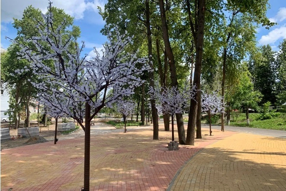 фото регионального Правительства