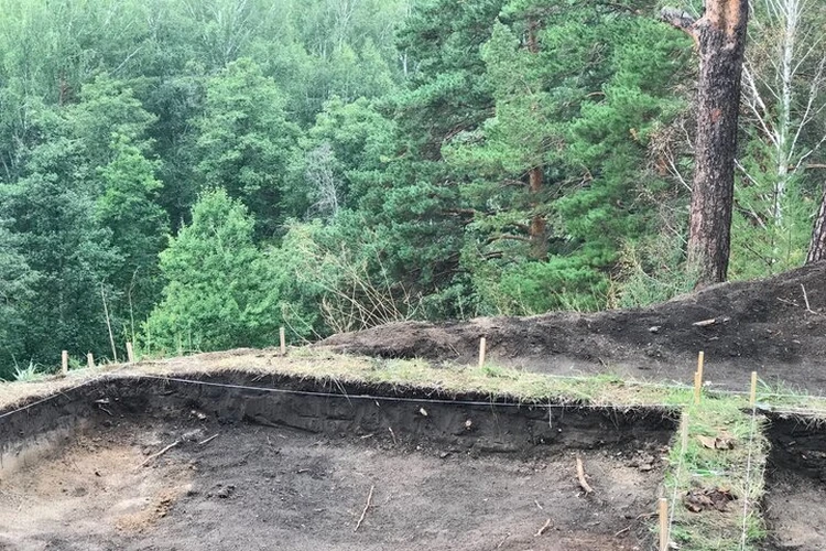 В Западной Сибири археологи раскопали средневековое городище