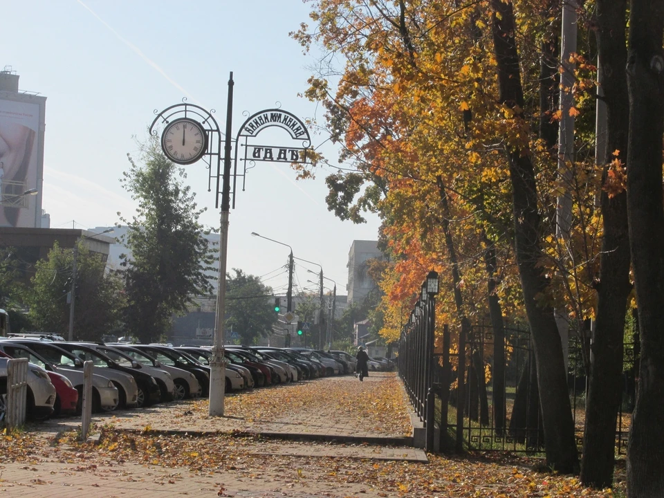 Когда облагородят Бринкманский сад, пока неясно.