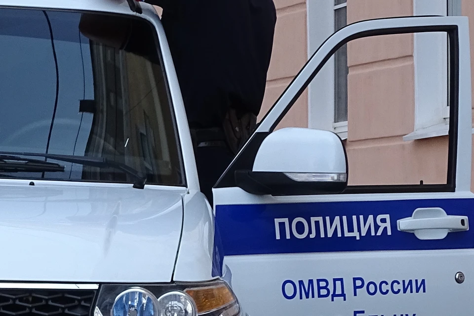 Полицейские задержали предполагаемого вора