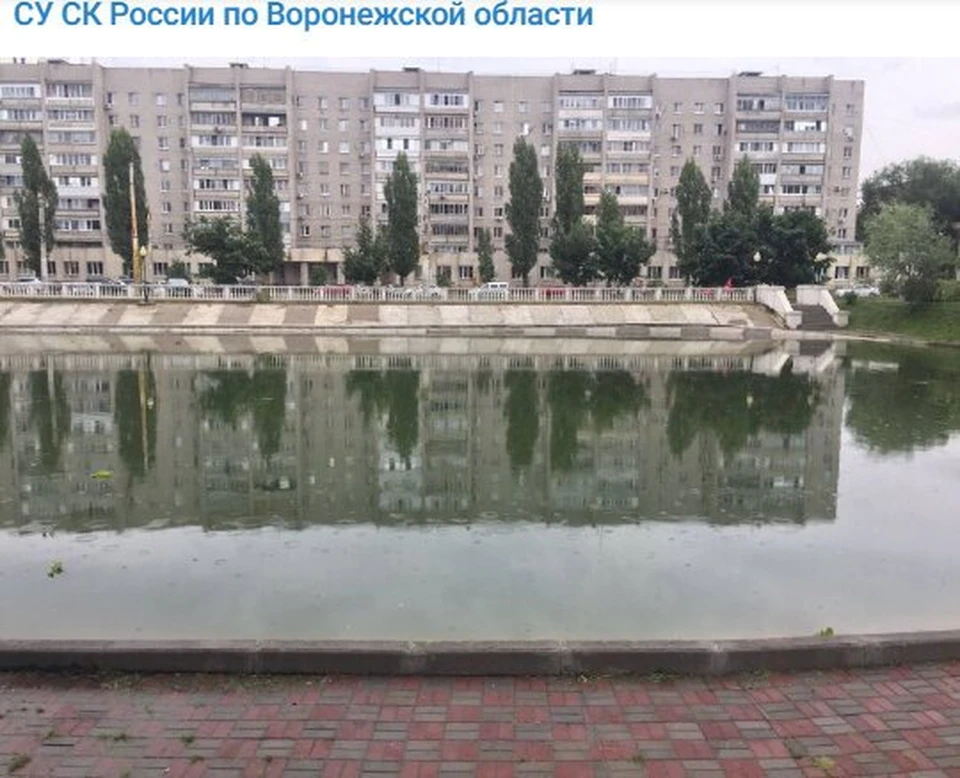 Из озера на Минской выловили тело мужчины.