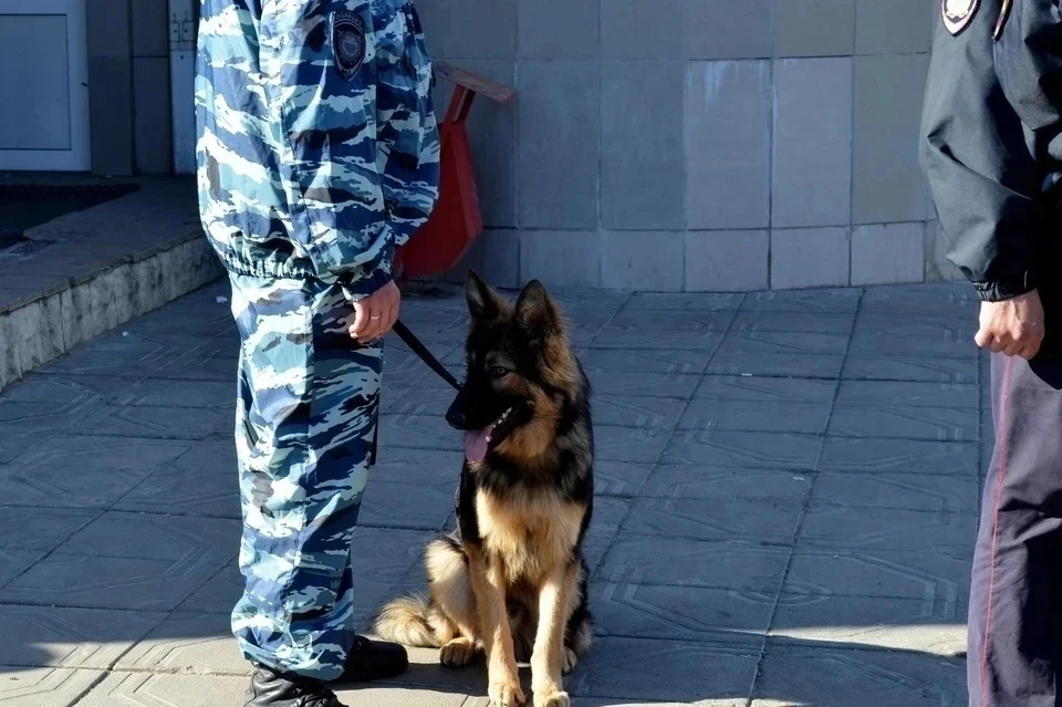 В Липецке эвакуировали автовокзал