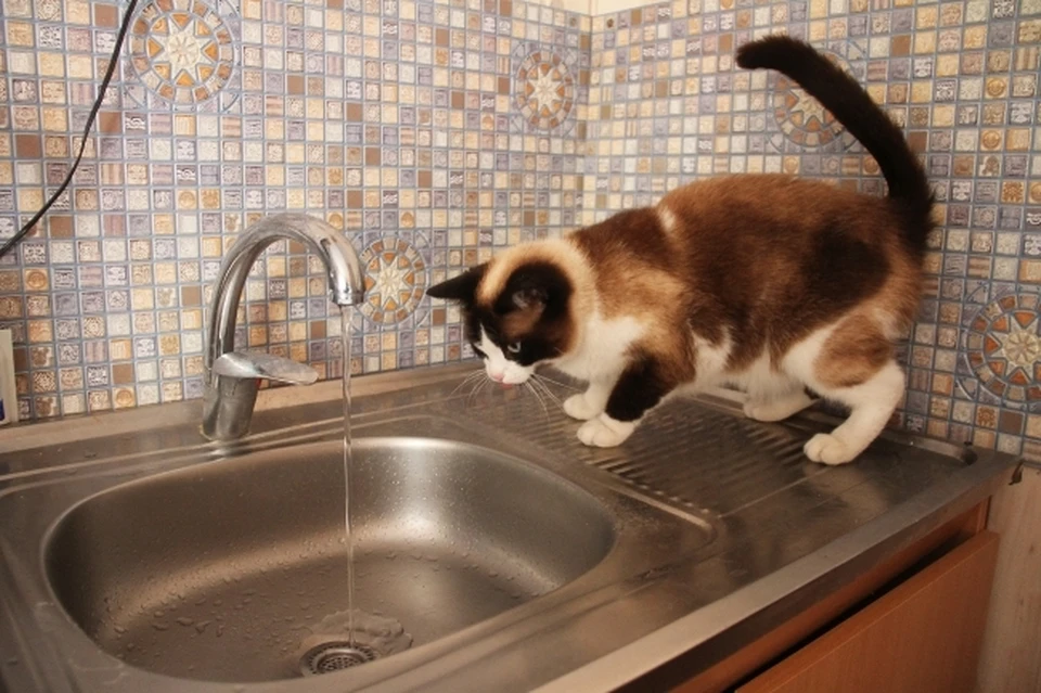 Котово уже который год без нормального водоснабжения.