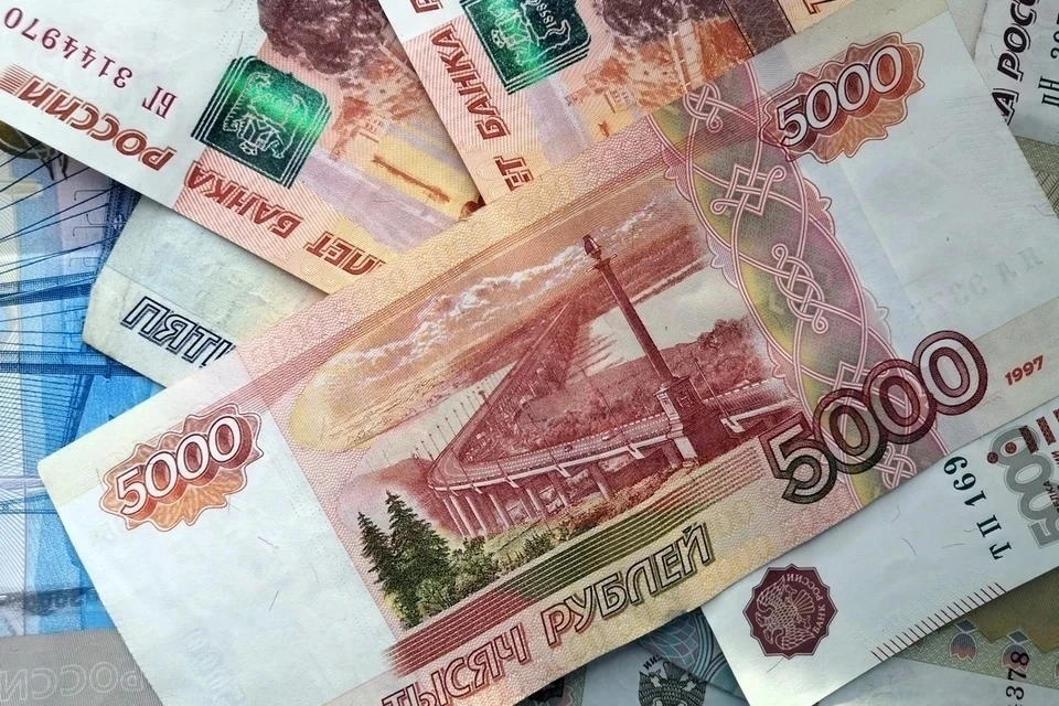 Кандидаты в депутаты Госдумы поделились данными о доходах