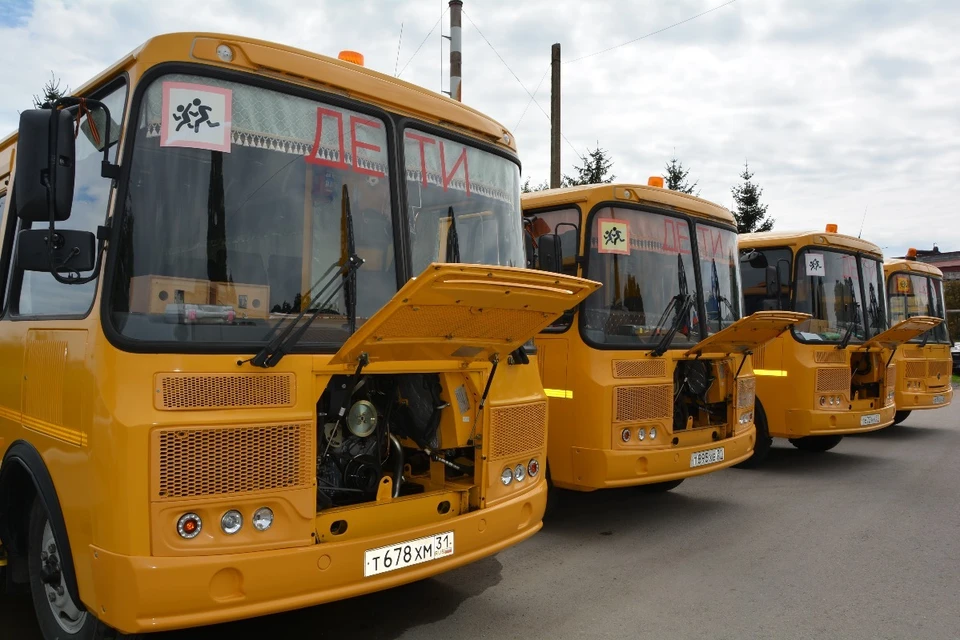 Стекла в школьных автобусах оклеят бронепленкой.