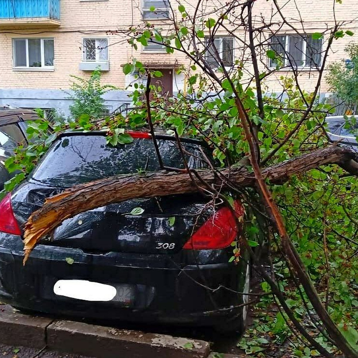 Разбитые машины, рухнувшие столбы и поваленные деревья: по Уфе прошел  сильный ураган - KP.RU