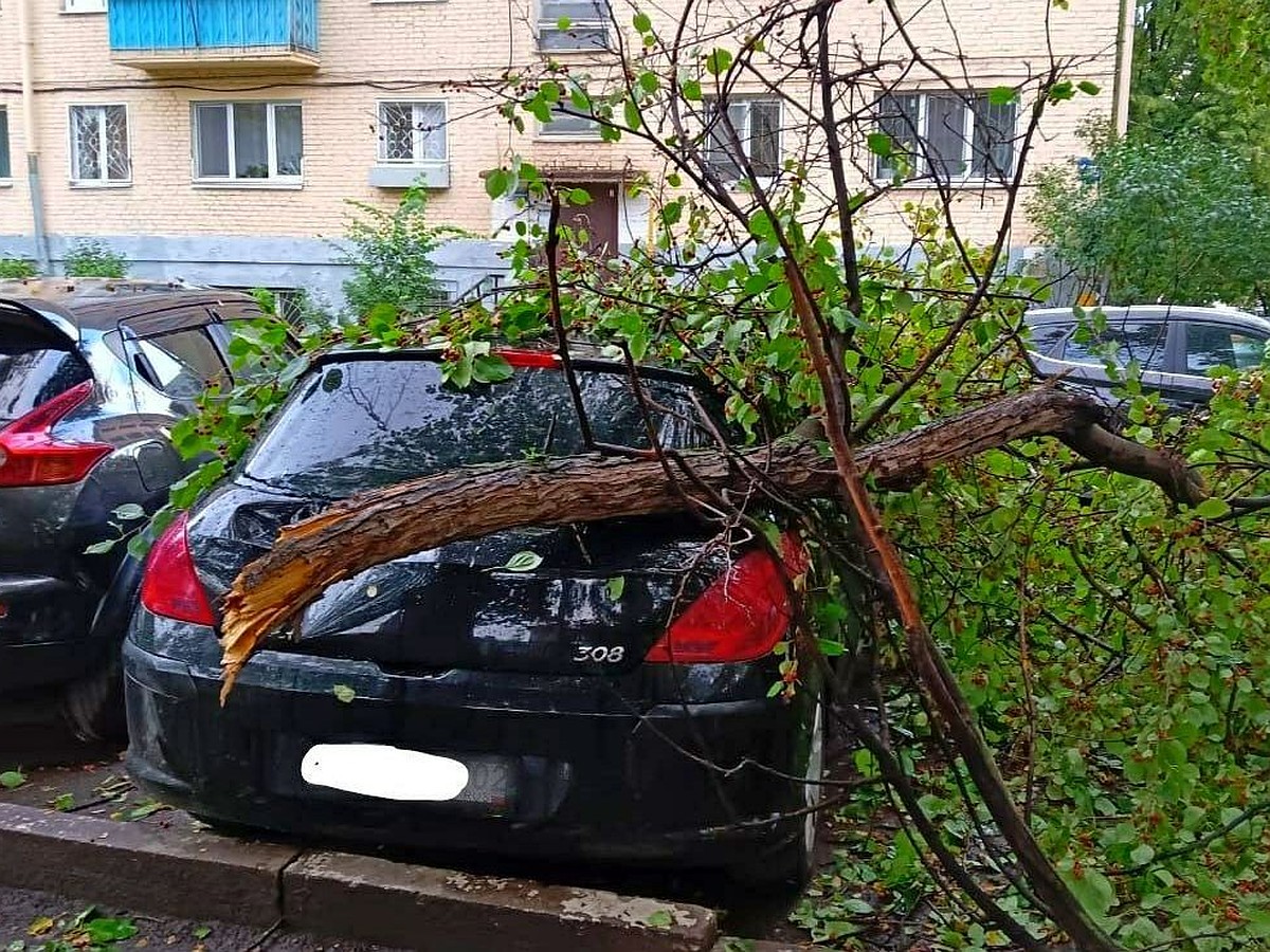 Разбитые машины, рухнувшие столбы и поваленные деревья: по Уфе прошел  сильный ураган - KP.RU