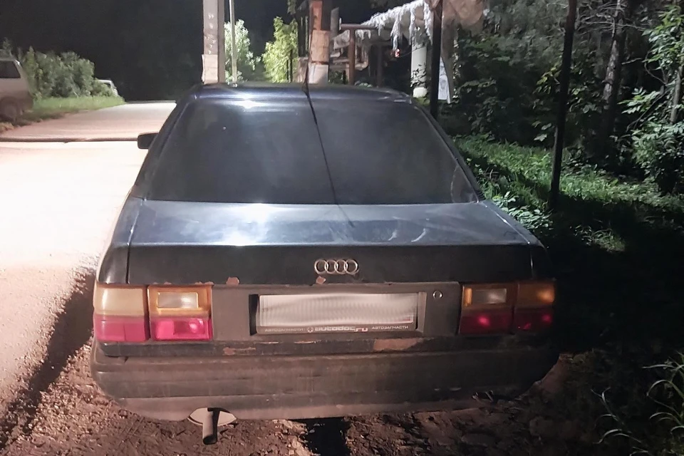 Пьяного пешехода, бредущего по дороге, сбил под Рязанью автомобиль Audi. Фото: 62.мвд.рф