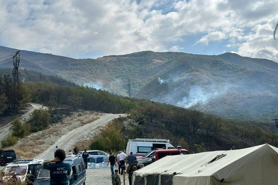 Лес продолжают проливать водой