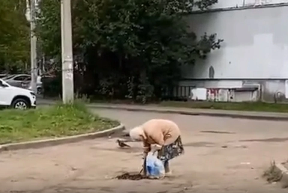 В Дзержинском районе Ярославля пенсионерка своими силами попыталась заделать ямы во дворе. Скриншот с видео, группа "Жесть Ярославль" ВКонтакте