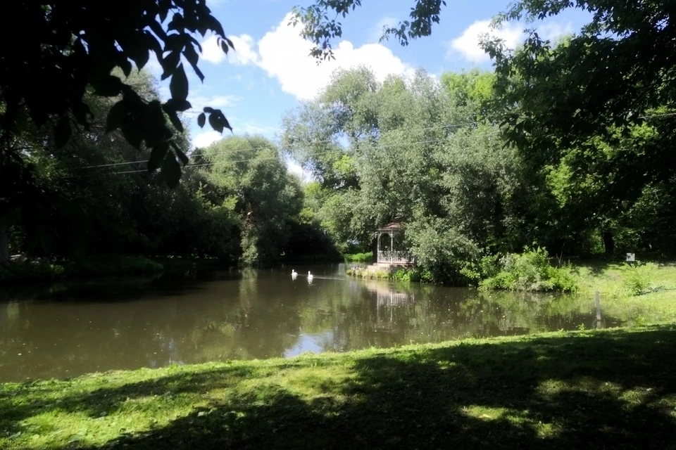 В Липецкой области в День знаний установится теплая погода