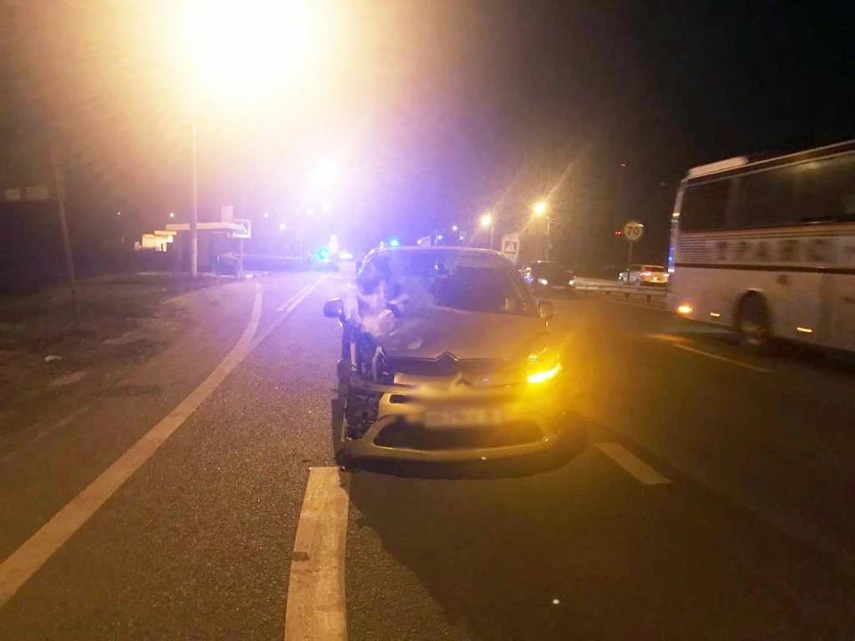 Фото - ГУ МВД по Воронежской области