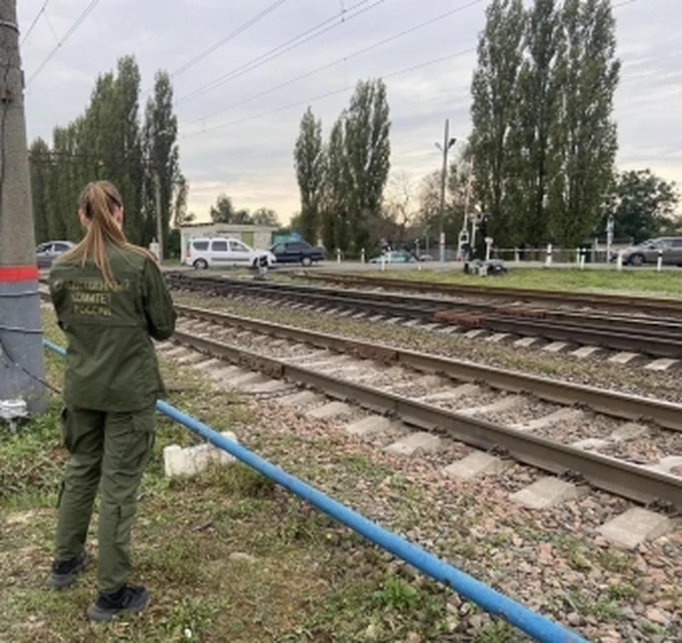 Электропоезд «Воронеж-Грязи» сбил 6-летнего мальчика на велосипеде в  Липецкой области - KP.RU