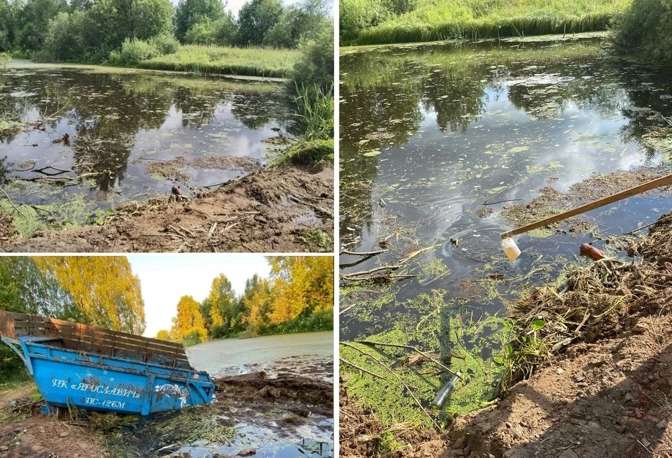 Фото: пресс-служба Минэкологии Кировской области