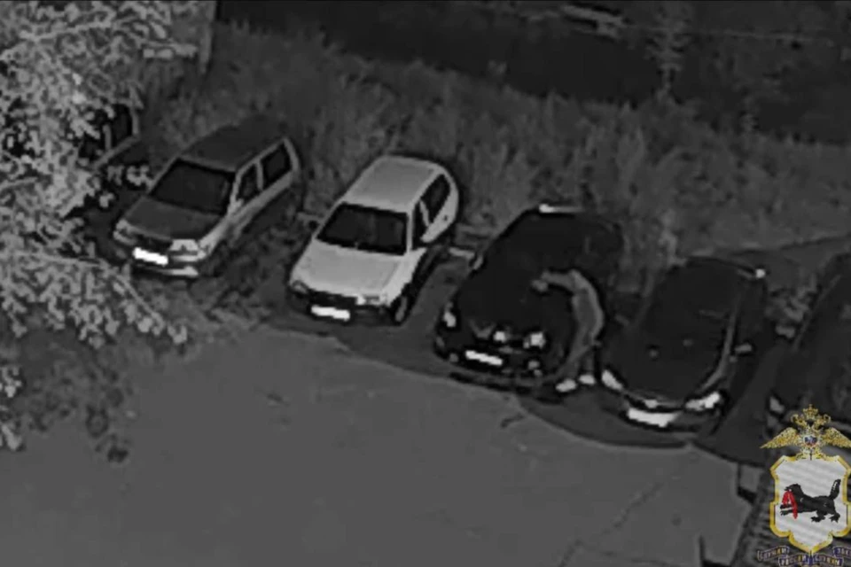 Полицейские осмотрели камеры видеонаблюдения и установили, что автомобиль подожгли двое парней. Фото: ГУ МВД Иркутской области