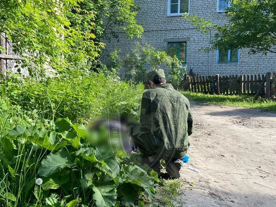 В Костромской области мужчина убил 18-летнего соперника. Фото: пресс-служба СУ СК России по Костромской области.