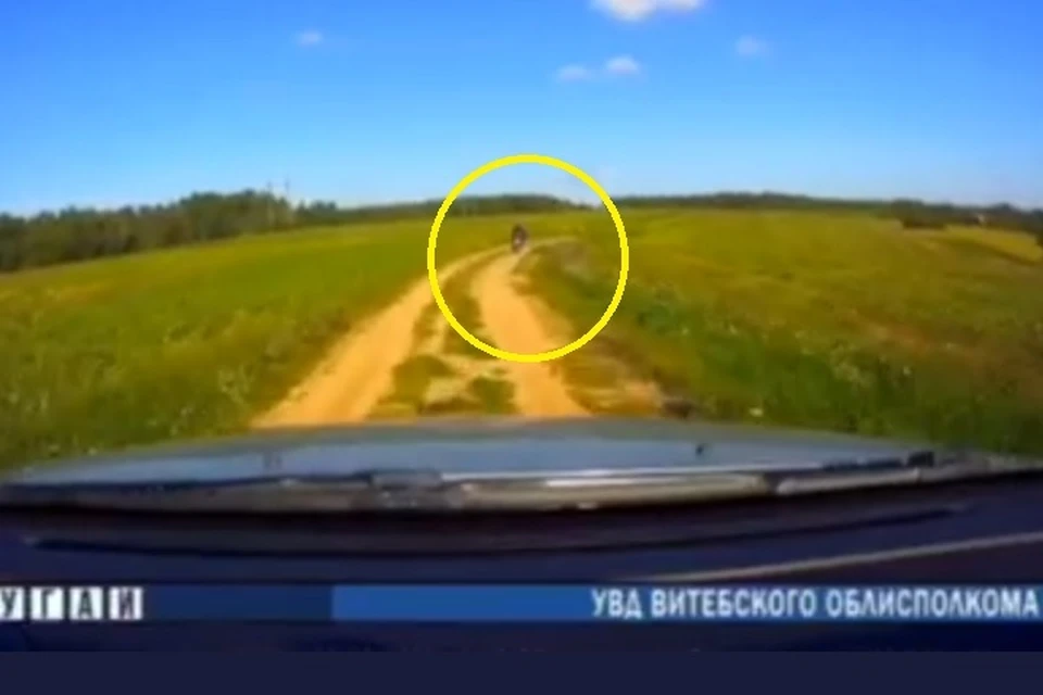 Пенсионер на мотоцикле скрывался от ГАИ в Ушачском районе. Фото: стоп-кадр | видео ГАИ Витебщины.