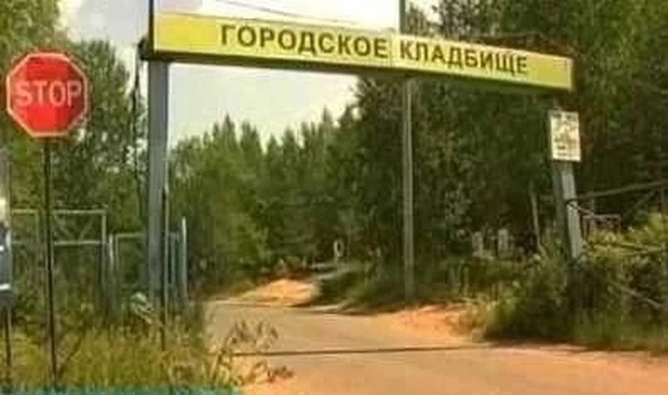 В Комсомольске-на-Амуре из-за медведей остается закрытым городское кладбище Фото: администрация Комсомольска