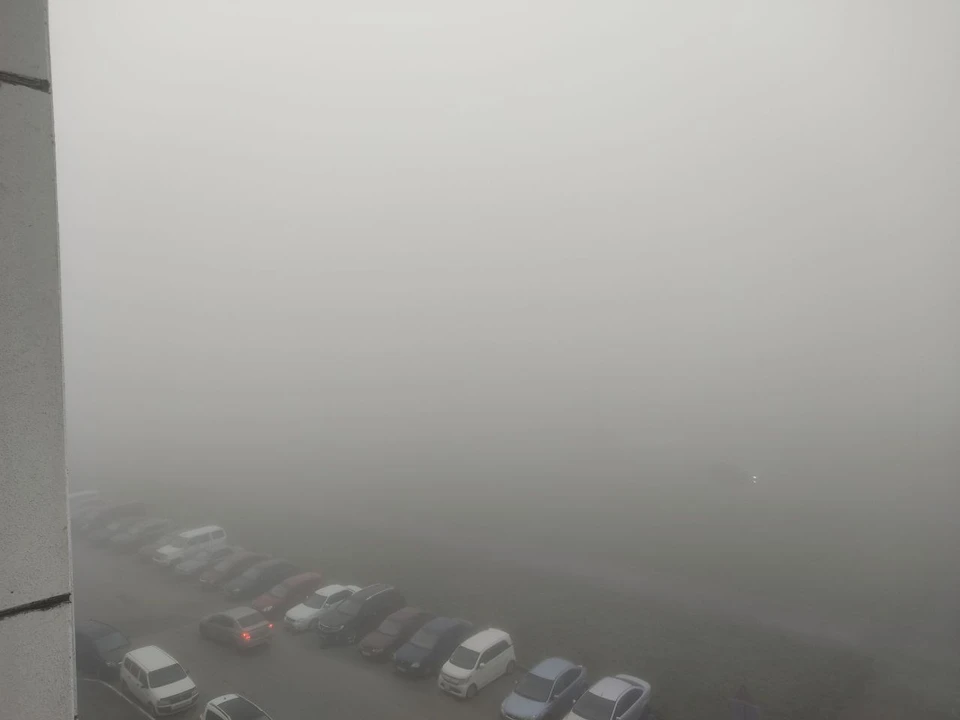 В таком тумане можно ощутить себя ежиком из известного мультфильма
