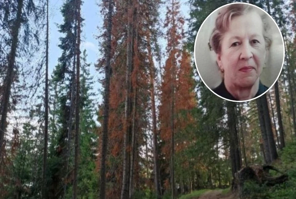 Наталья Ивановна провела в глухом лесу трое суток.