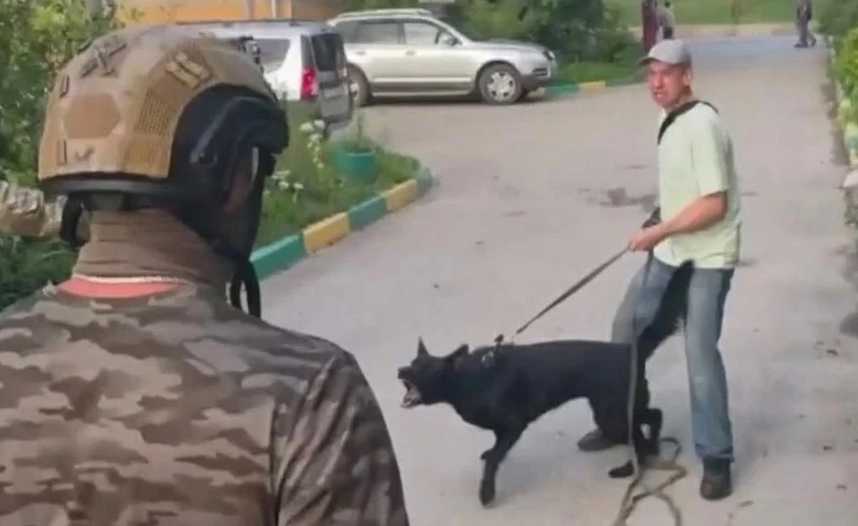 В Туле наркодилер спустил на полицейских собаку при задержании