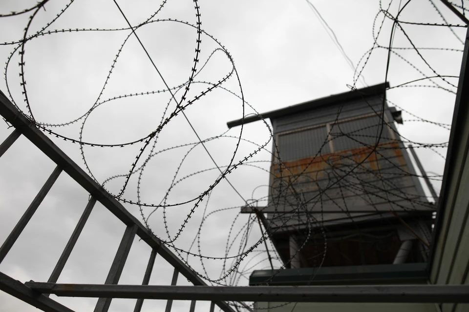 Двух заключенных, сбежавших из колонии, поймали в Краснобаковском районе.