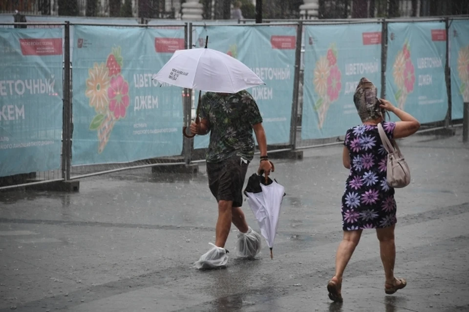 В большинстве районов пройдет дождь, преимущественно в центральных районах - сильный, возможна гроза
