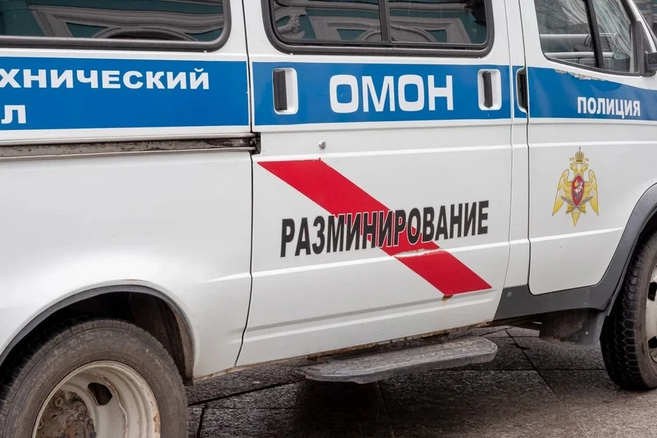 Петербуржца задержали по подозрению в ложном сообщении о минировании зданий.