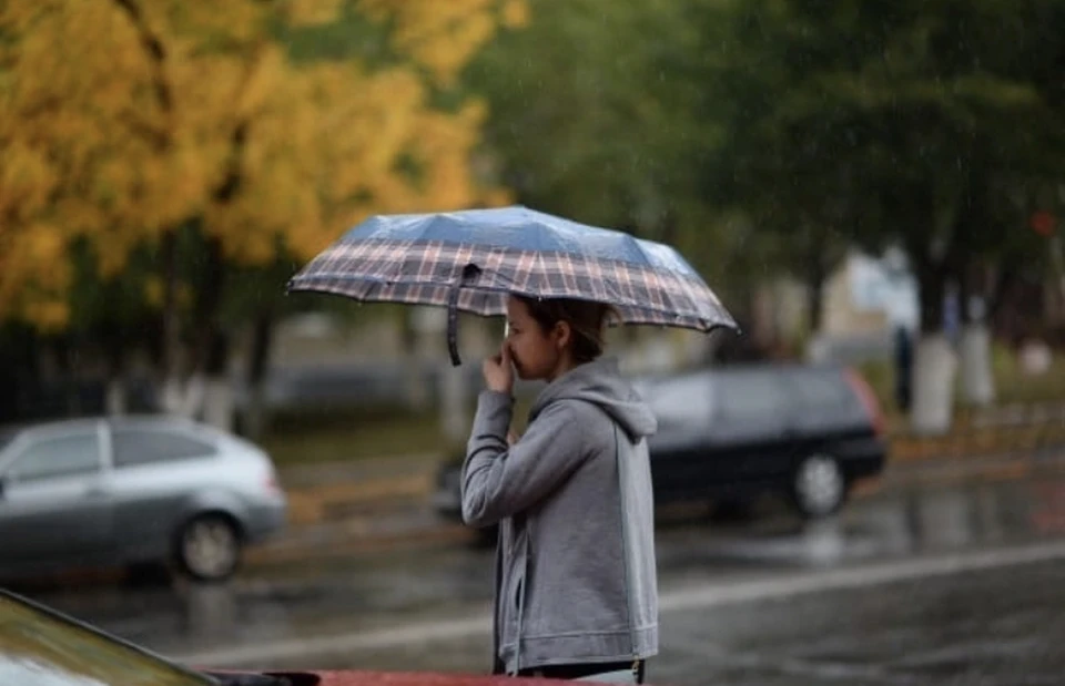 Небольшой дождь ожидается сегодня днем в Смоленске.