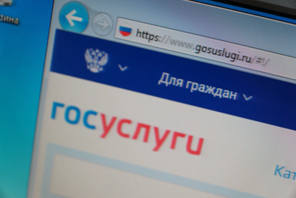 Ульяновцев предупреждают о мошенниках, имитирующих в ТГ канал Госуслуги