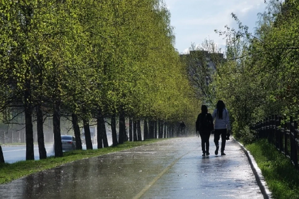 В ЛНР 10 сентября ожидается небольшой дождь