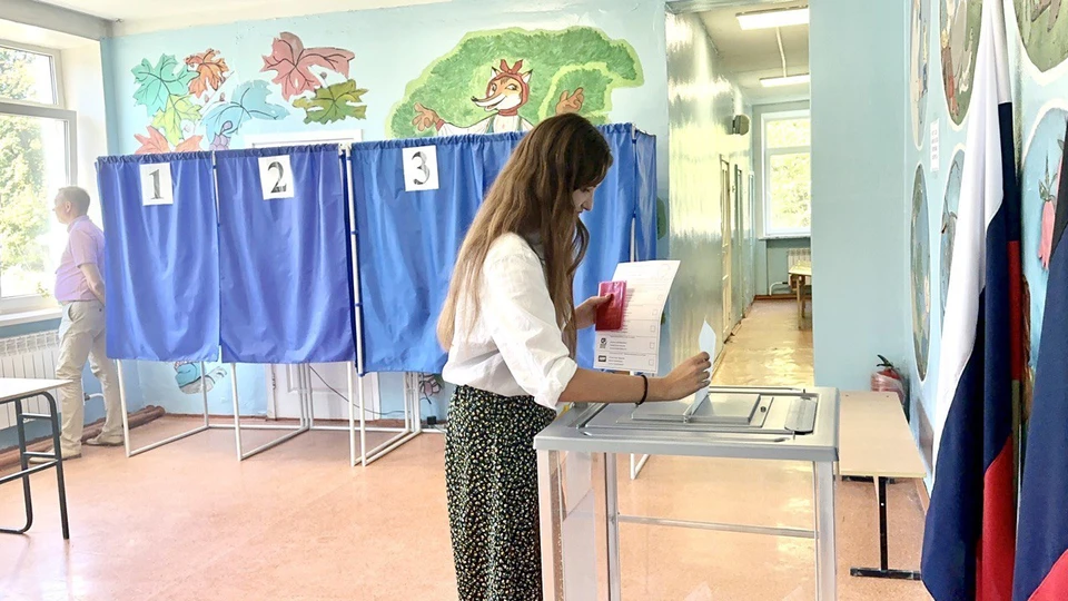Выборы в ДНР прошли без нарушений, заявил Зураб Макиев