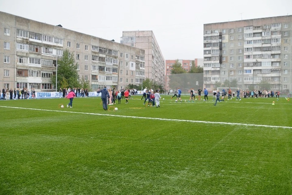 В Ярославской области для всех желающих откроют больше 200 школьных стадионов