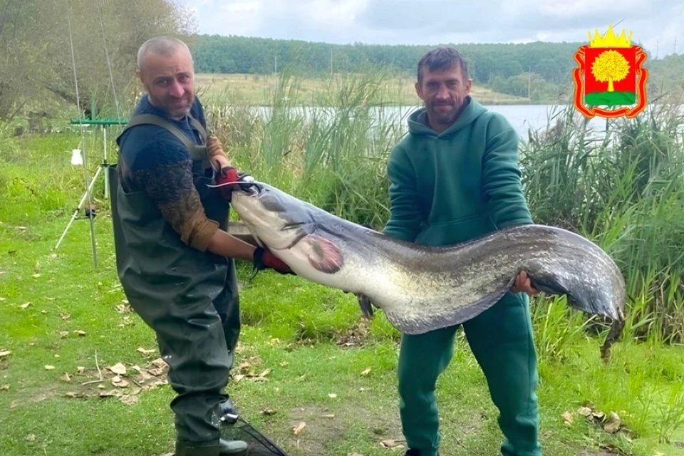 Рыбаки поймали в Хлевенском районе гигантского сома