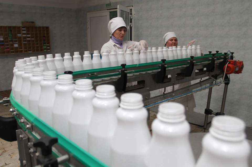 На Кубани стали больше производить сырого молока. Фото: t.me/mshkubani