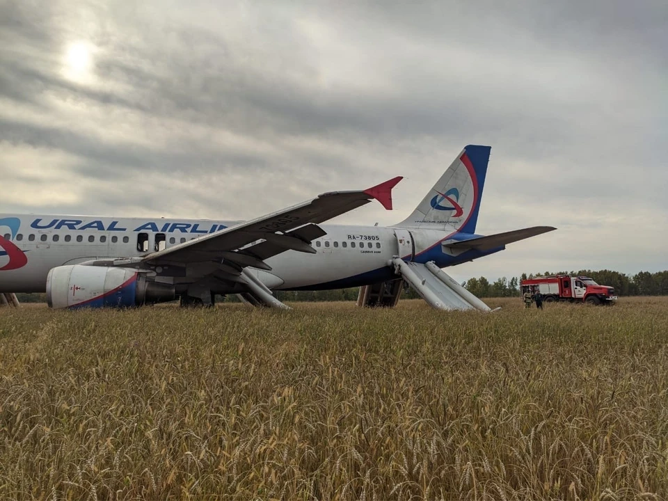 Губернатор Омской области назвал причину аварийной посадки самолета в Новосибирской области. Фото: Западно-Сибирская транспортная прокуратура