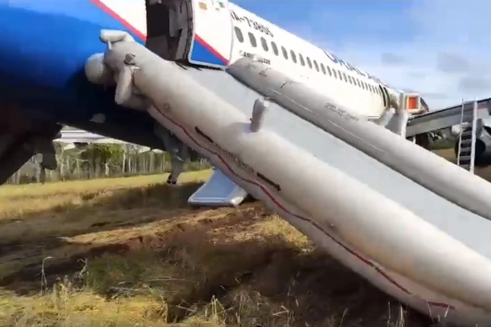 Комиссия выдвинулась к месту аварийной посадки самолета в НСО. Фото: скриншот из видео МЧС России