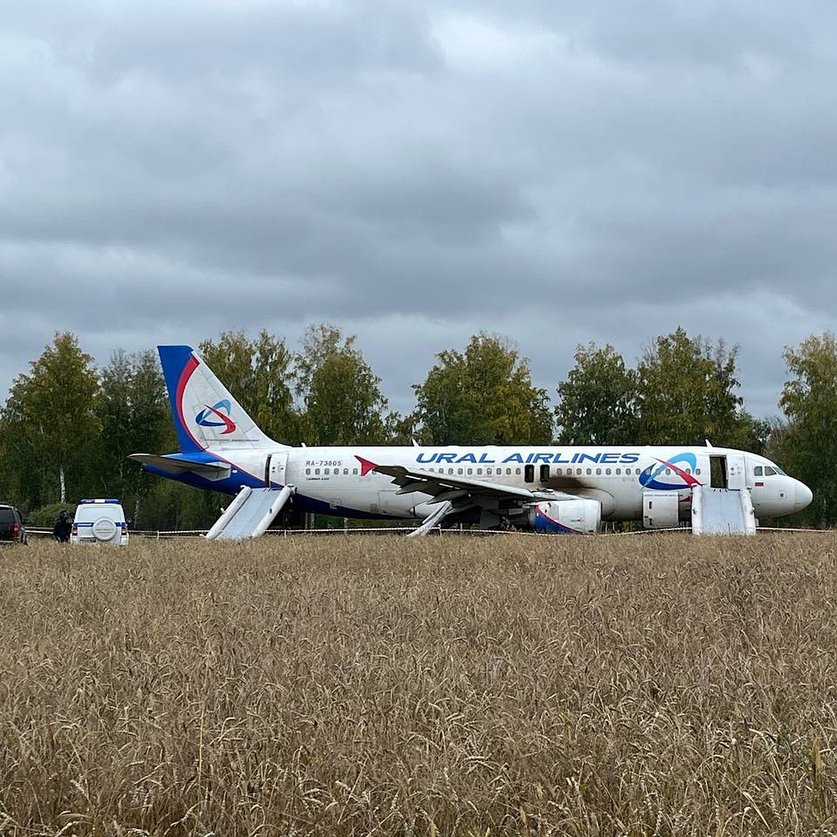 Огромная удача, что все живы и невредимы»: Эксперты рассказали, насколько  сложно было посадить самолет рейсом Сочи - Омск в поле под Новосибирском -  KP.RU