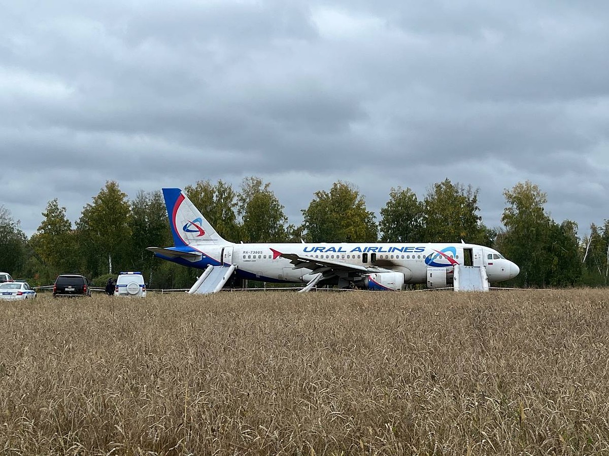 Огромная удача, что все живы и невредимы»: Эксперты рассказали, насколько  сложно было посадить самолет рейсом Сочи - Омск в поле под Новосибирском -  KP.RU