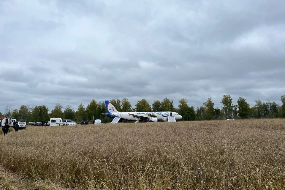 Самолет совершил аварийную посадку в поле в Убинском районе.