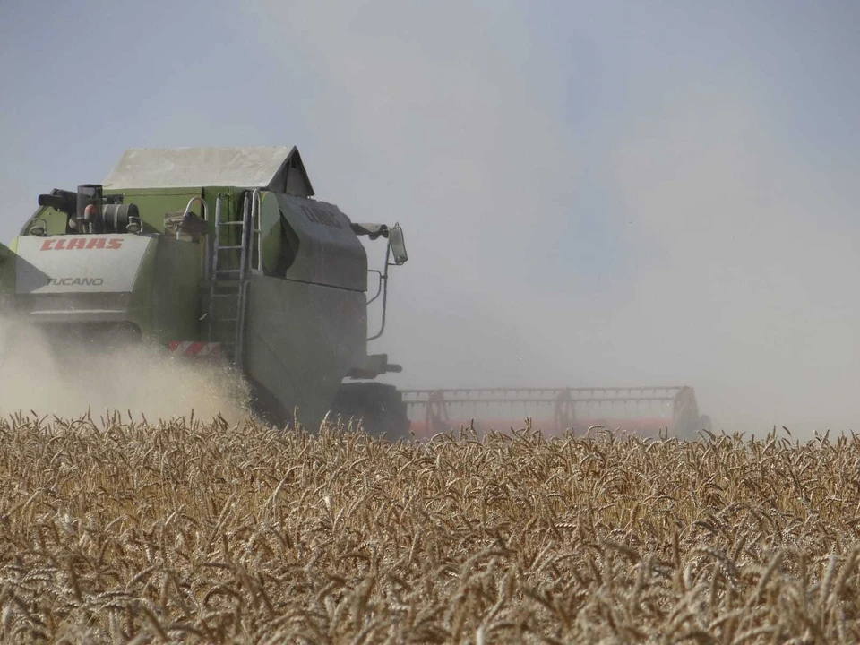 Аграрии Иркутской области собрали 217 тысяч тонн зерна
